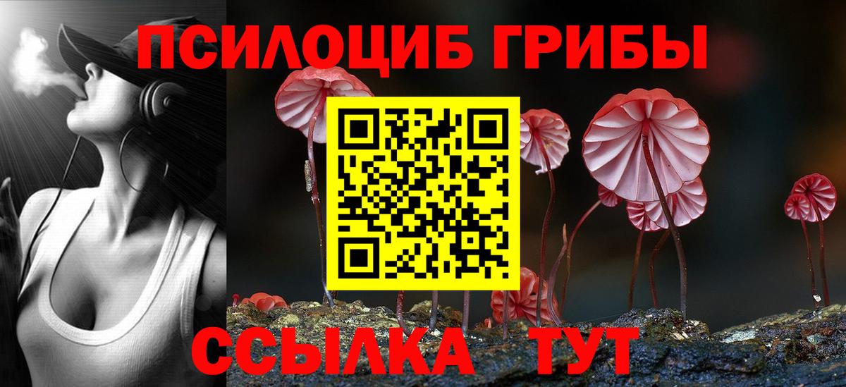 Нижнекамск  Галлюциногенные грибы прущие грибы  Галлюциногенные грибы мухоморы  закладка  Вход с VPN 